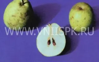 Ноябрьская