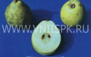 Октябрьская