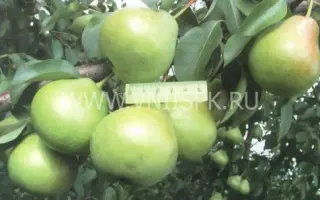 Осенняя Яковлева