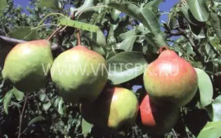 Памяти Яковлева