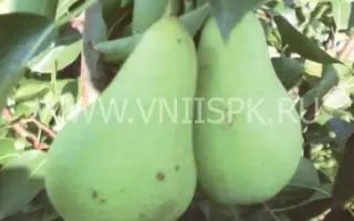 Первомайская