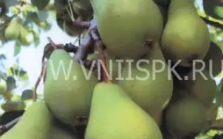 Петровская