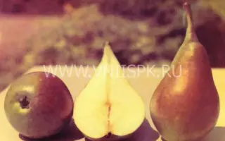 Ранняя Сергеева