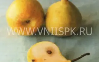 Фавр (Мадам Фавр)