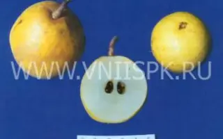 Шурановка № 3