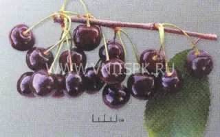 Овстуженка