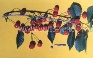 Булатниковская