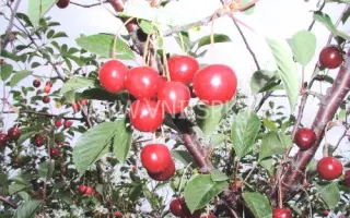 Комсомольская