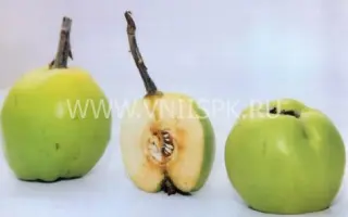 Враниска Дания