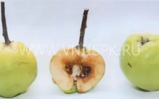 Зубутлинская