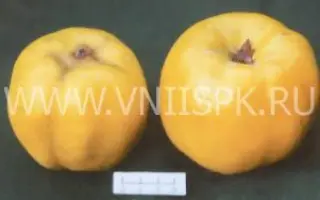 Краснослободская