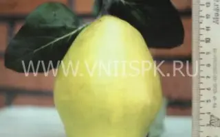 Подарочная