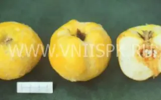 Тепловская