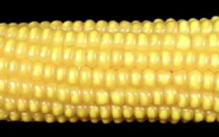 Кремень 200 МВ