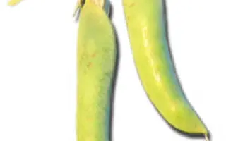 Женева / Geneva