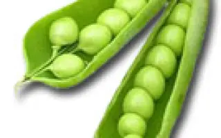 Карина / Karina