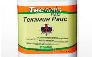 Текамин Раис / Tecamin Raiz