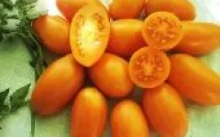 ЗОЛОТОЙ ПОТОК 