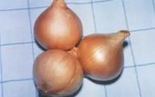 ТКАЧЕНКІВСЬКА 