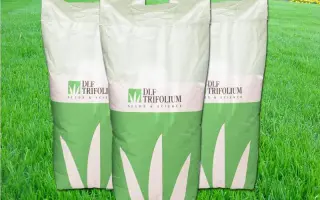 Смесь «Для солнечных площадок»