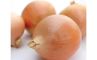 ИКАРУС F1 / ICARUS F1