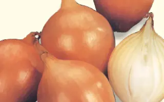 БУГАТТИ F1 / BUGATTI F1