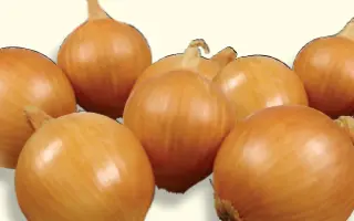 ШЕРПА F1 / SHERPA F1