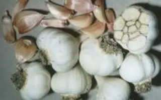 МАНУЙЛІВСЬКИЙ. Ярий 