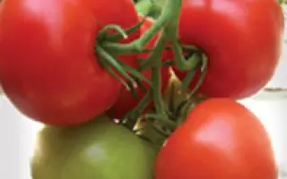 Альгамбра F1