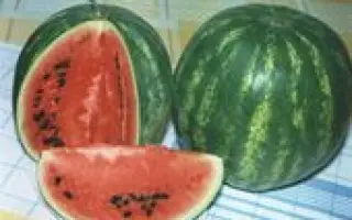 ШИРОНІНСЬКИЙ 