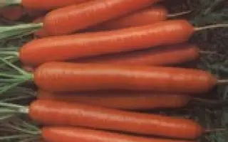 НАНТСЬКА ХАРКІВСЬКА. 