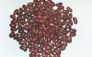 ГАЙДАРСЬКА