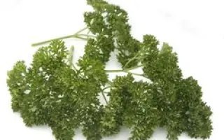 Эсмеральда