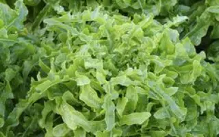 Абракадабра