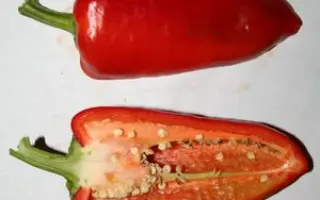 Доверчивый F1 