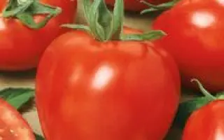 Альтруист F1 