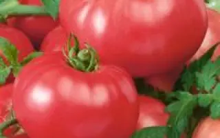 Прагматик F1 