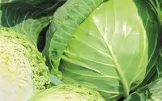 Нахаленок F1 