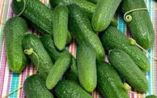 Гармонист F1 