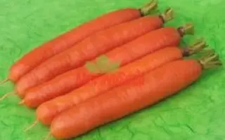 КАРОТЕЛА