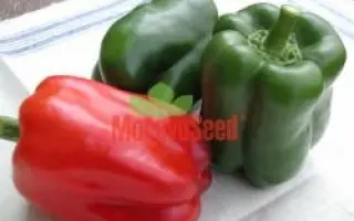 КАЛІФОРНІЙСЬКЕ ДИВО