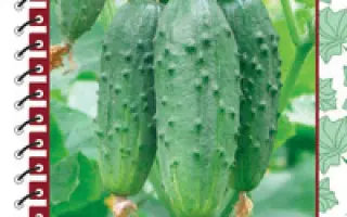 Балалайка F1 