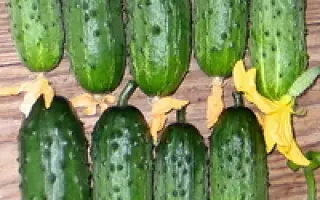 Календарь F1 