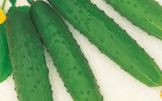 Апрельский F1 