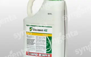 Банвел 4S 480 SL