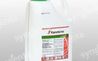 Каллисто 480 SC