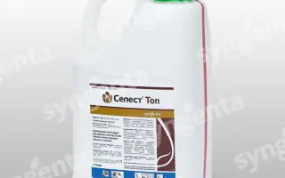 Селест Топ 312,5 FS