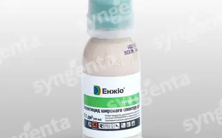 Энжио 247 SC / Engio 247 SC