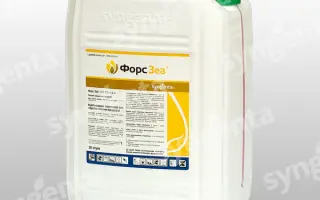 Форс Зеа 280 FS