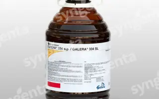 Галера 334 SL / Galera 334 SL